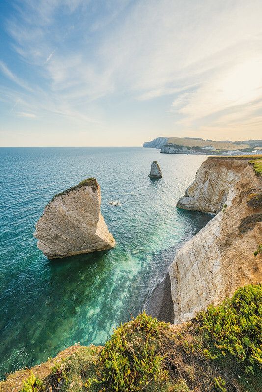 Heathfield Camping tweet media