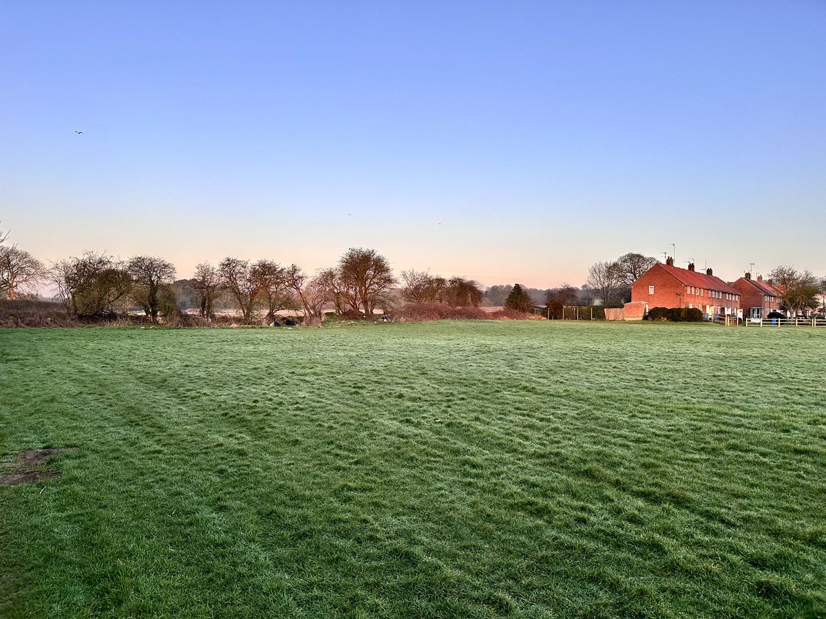 The Hutch Runs tweet media