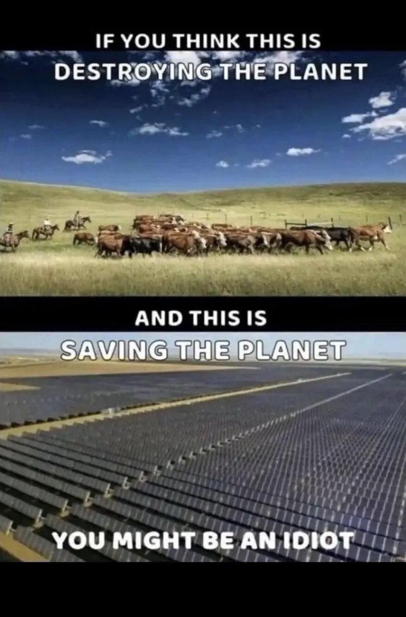 Dan Ramos tweet media