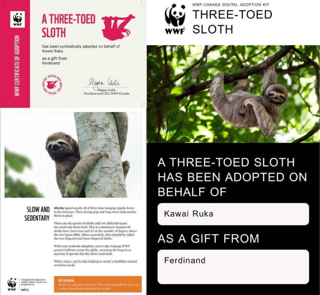 RUKA BASE tweet media