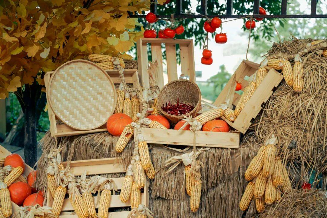 binhtran tweet media