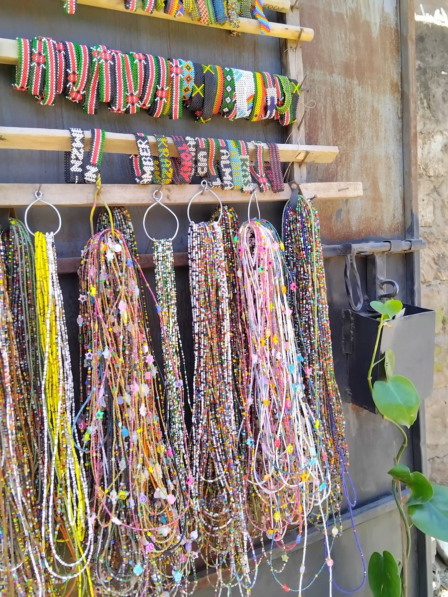 Shawrry for Plants🪴 💙 tweet media