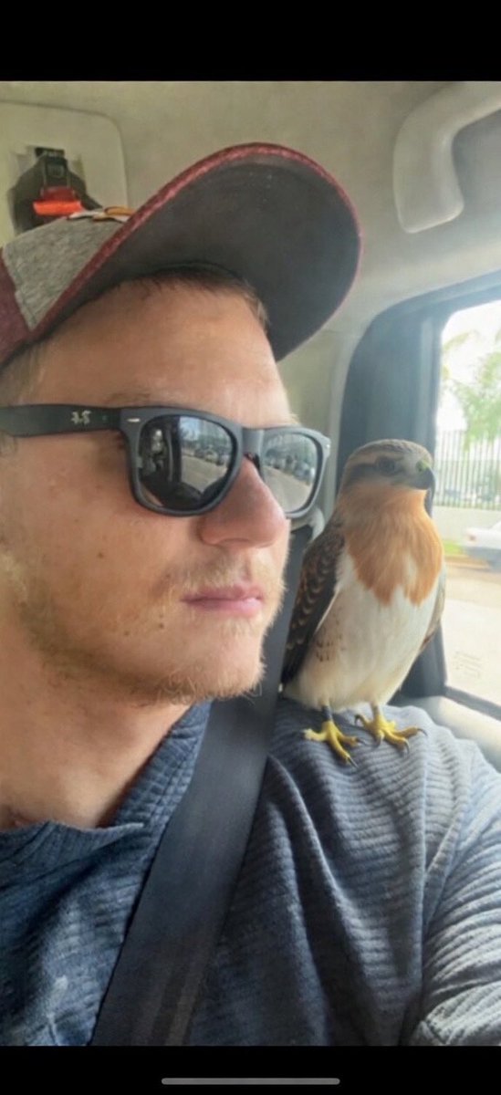 Kevin Szabo | Life tweet media