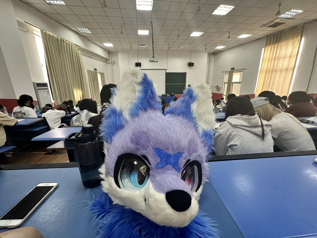 夜风VW_Fox tweet media