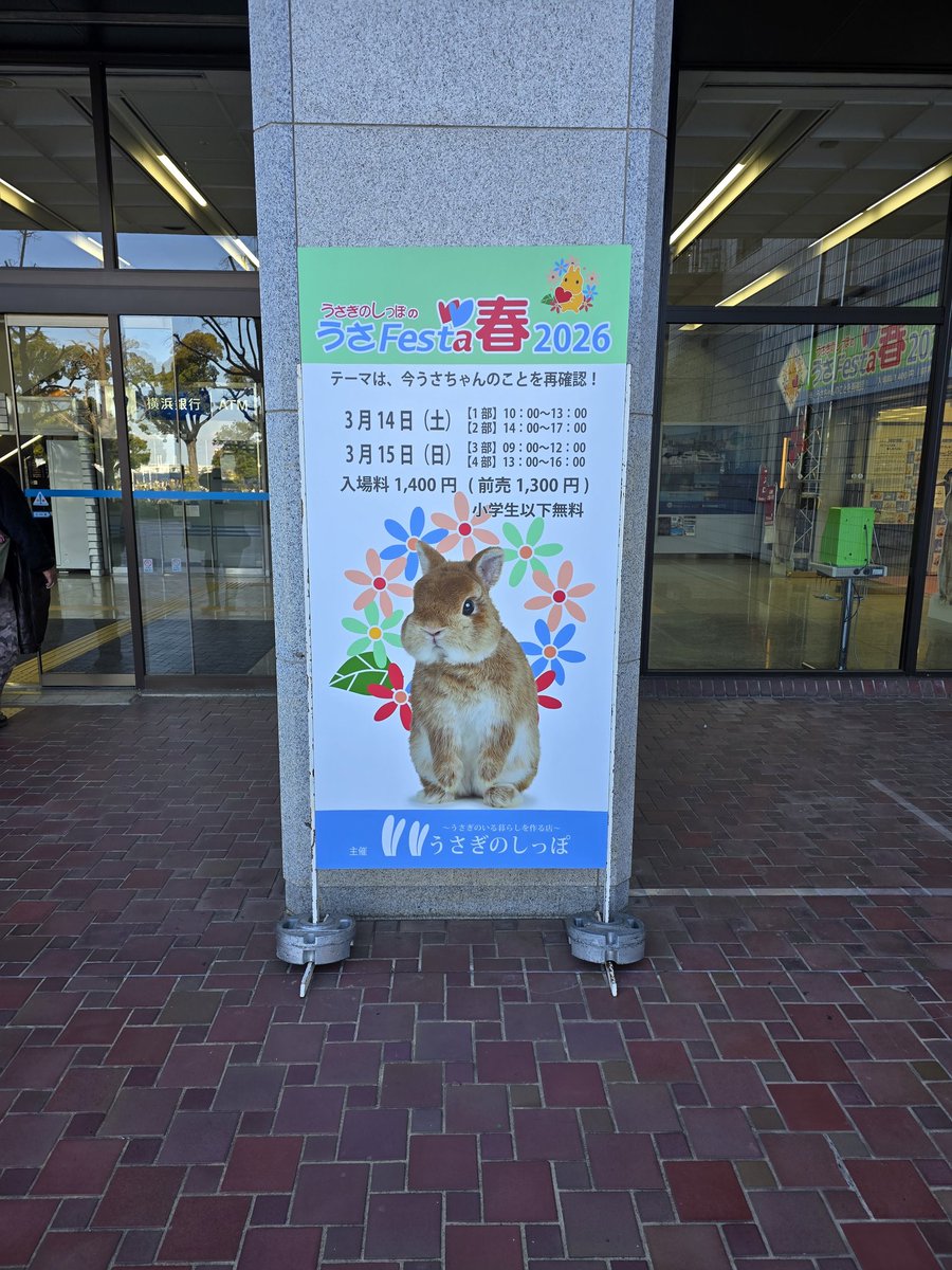 🐇うさぎLOVE💕🐇 tweet media