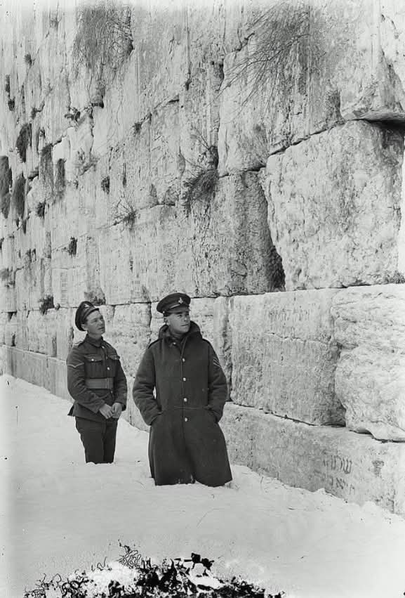 Archaeo - Histories tweet media