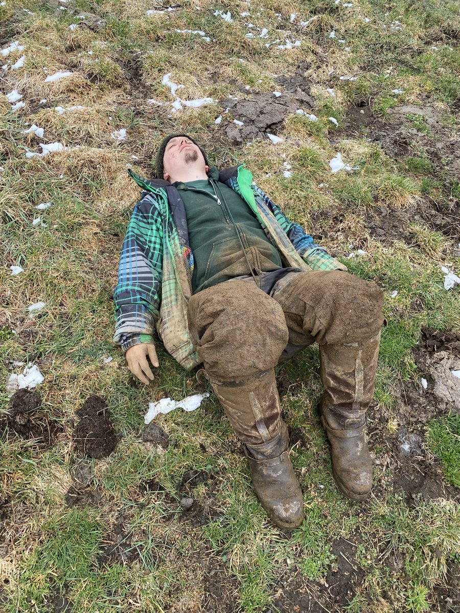 Georg Waldmensch 🌳 tweet media