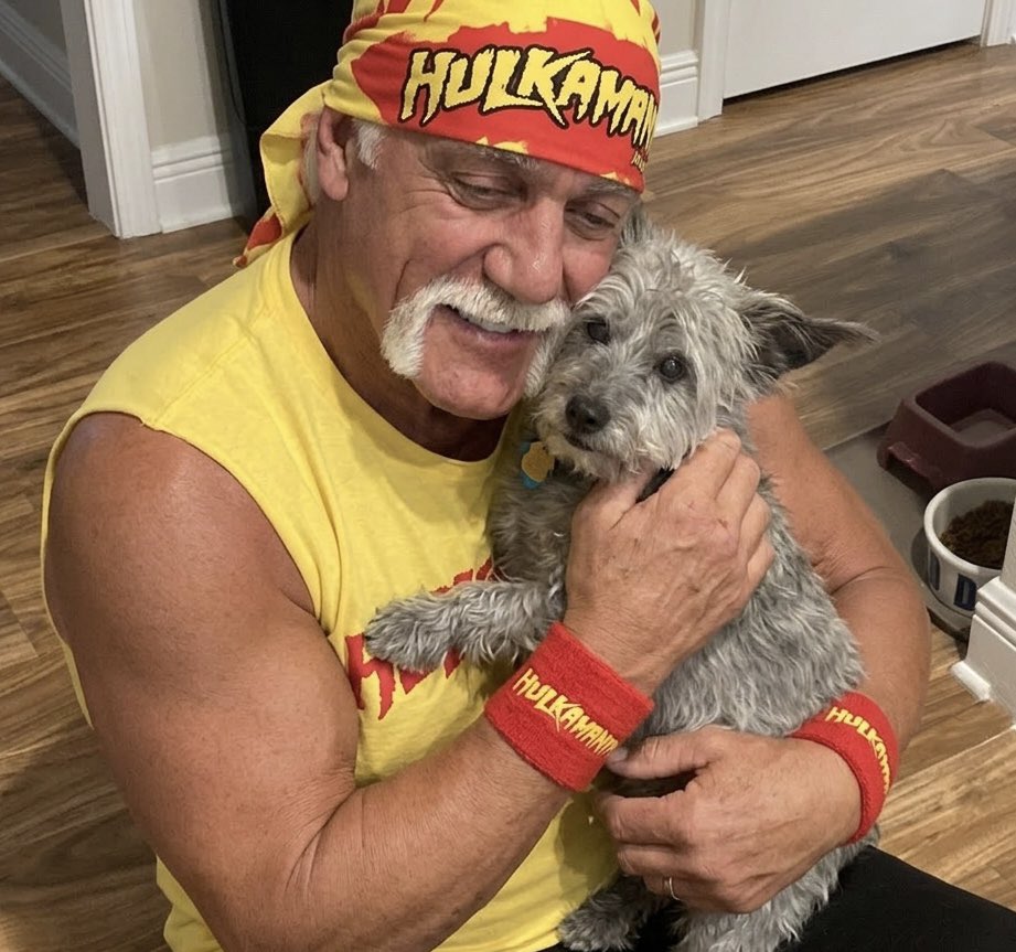 ASTcell 🇨🇦🏴🇺🇸 tweet media