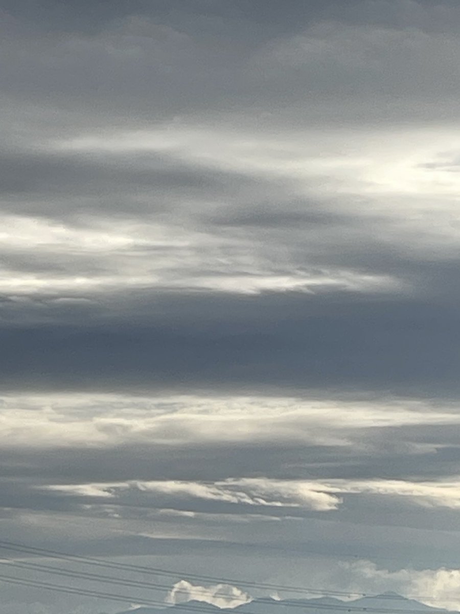 こだま和文 tweet media