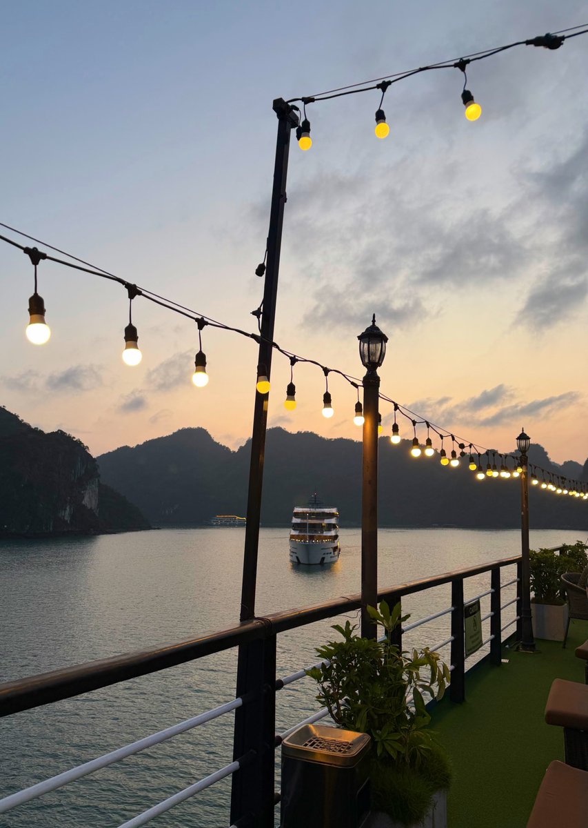 Claudia Rea tweet media