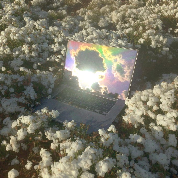 rare.jpg tweet media