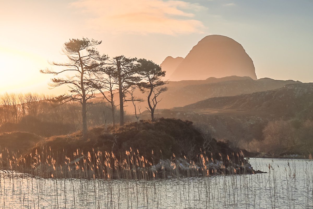 Stuart Klinke tweet media