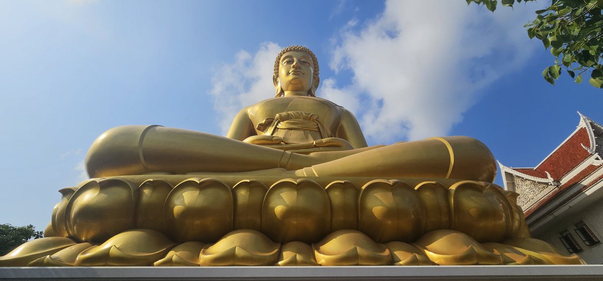 Tiny Mint Mutt 👩🏿🦼➡️ thailand tweet media