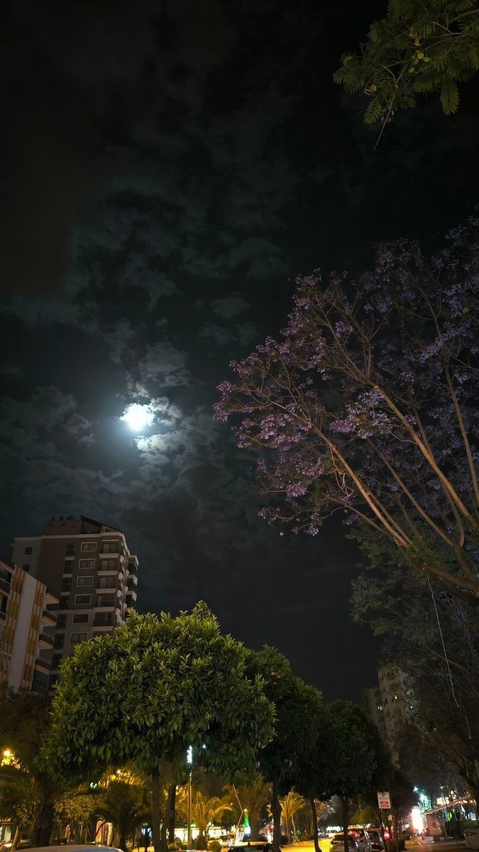 Emperor.SOL tweet media