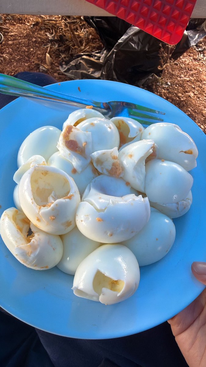 SHTH Archives tweet media