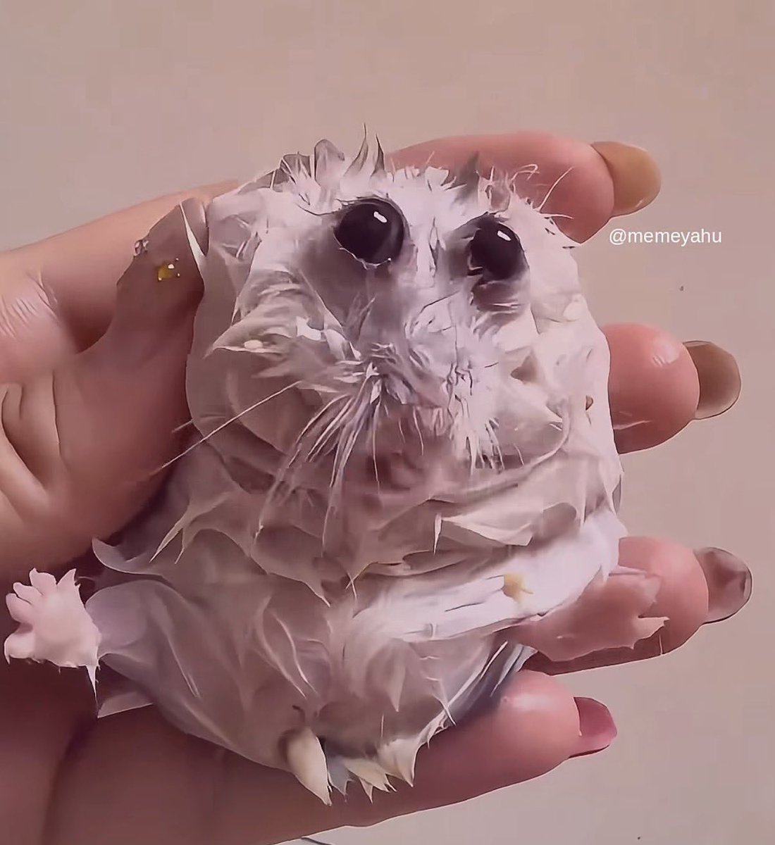 I Only Follow Bottoms (Original) 💖🔥 tweet media