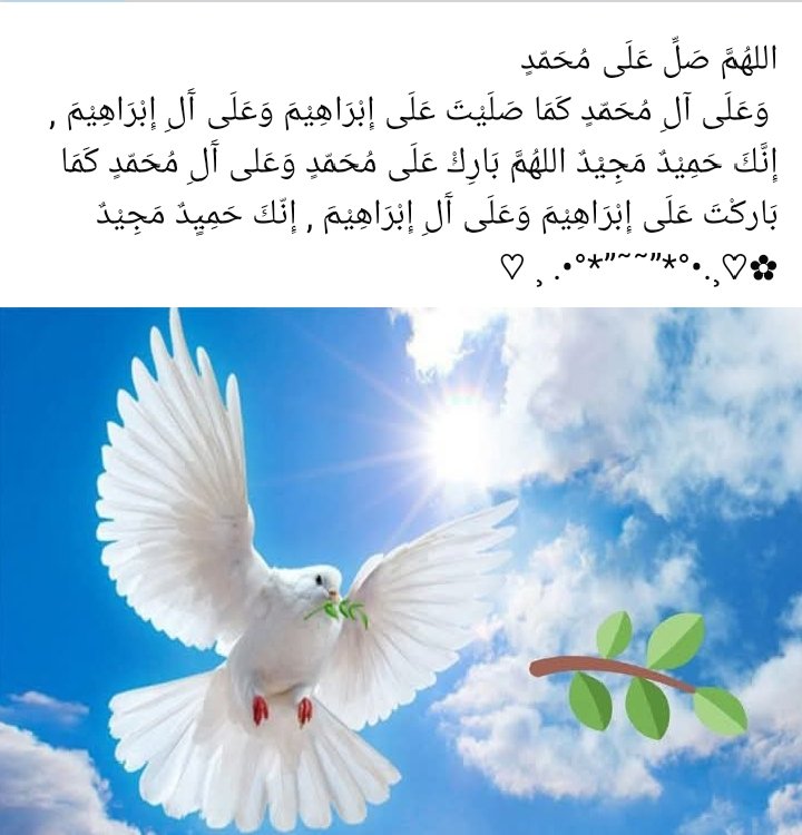 Swalief Hussein tweet media