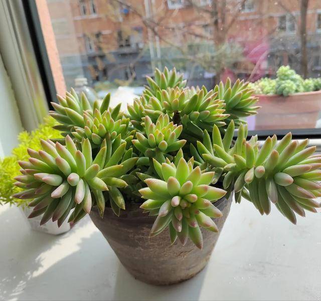 jacoyaaa tweet media