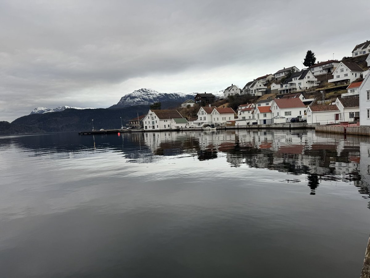 Esther Moe tweet media