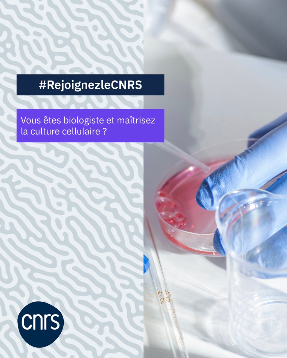 CNRS à Paris-Saclay tweet media