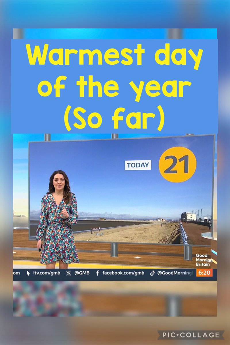 Laura Tobin. tweet media