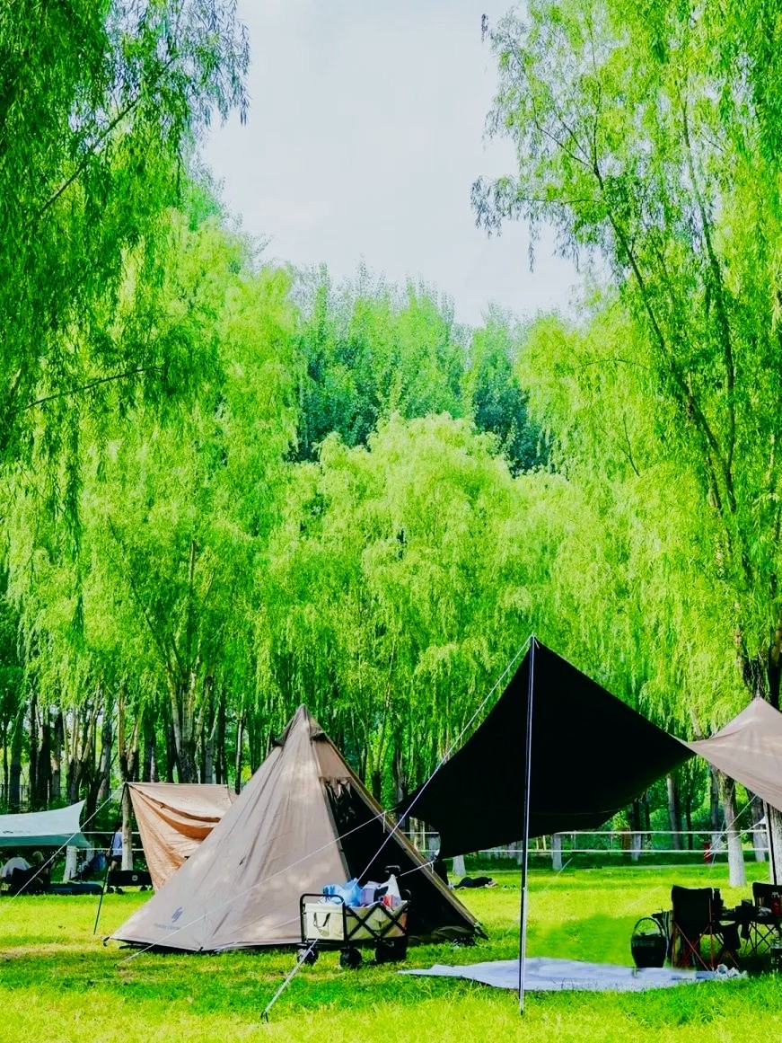 alicia lewis/mitchell tweet media