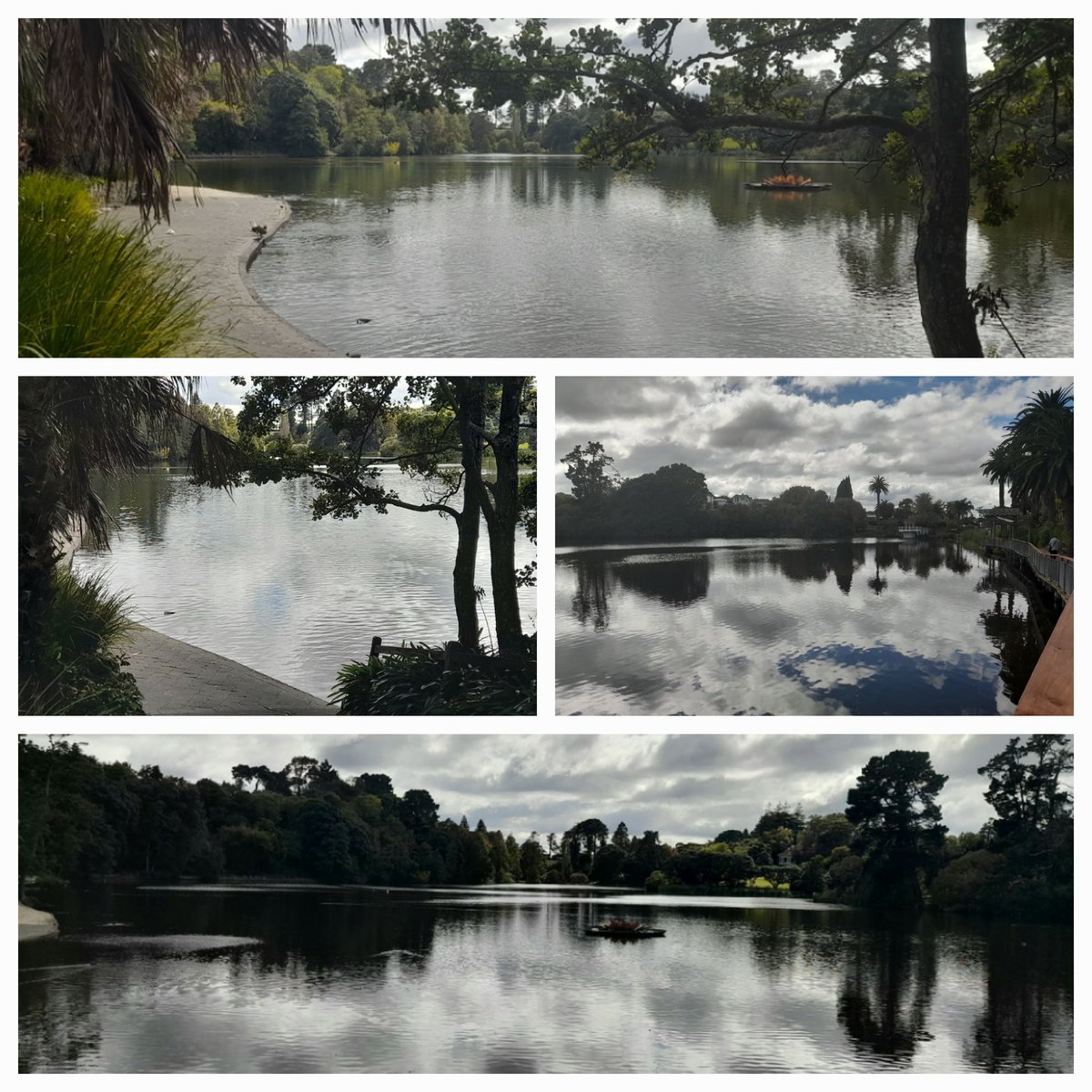 Some photos I took on the way today.😁🙋‍♀️