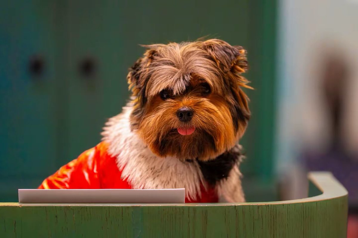 The Groves tweet media