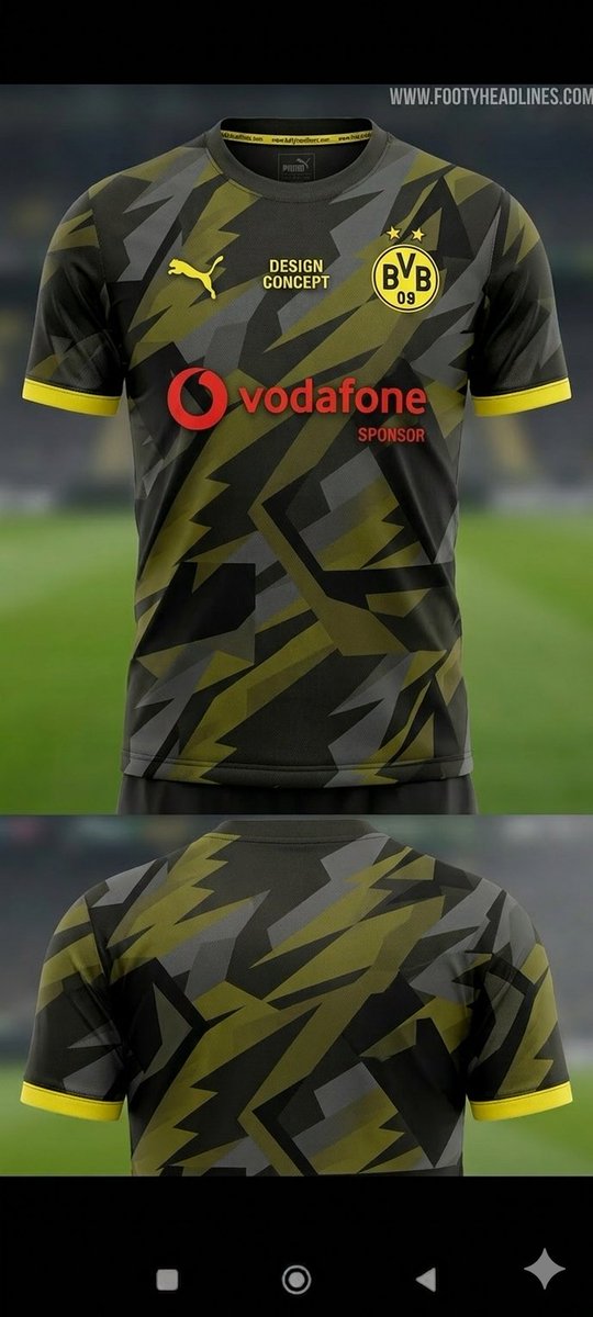 BVB..verstand.. tweet media