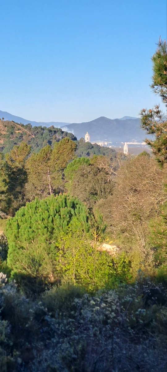 Pere Albertí🎗 tweet media