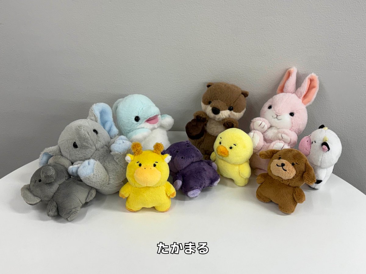 ちびむち tweet media