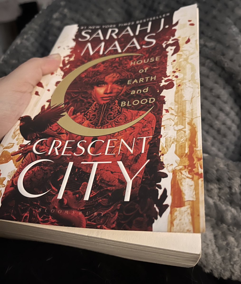 carolina ‾◡◝ tweet media