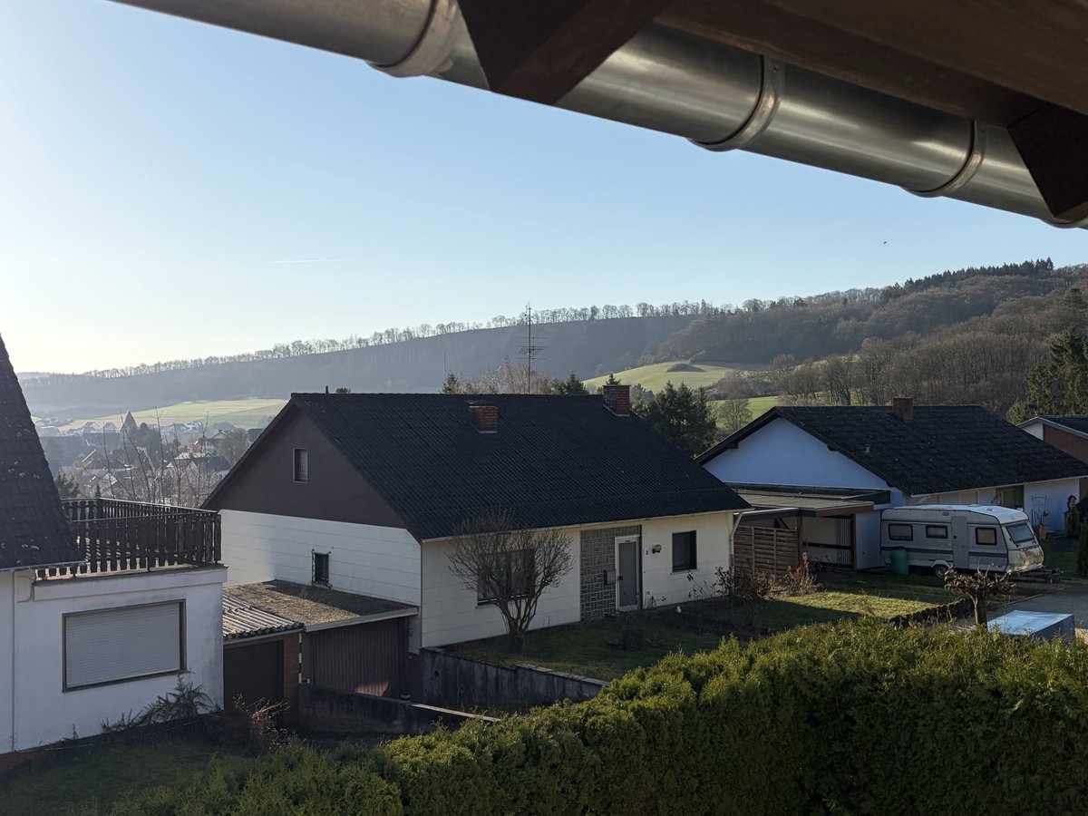 Mad Simon 🎒 tweet media