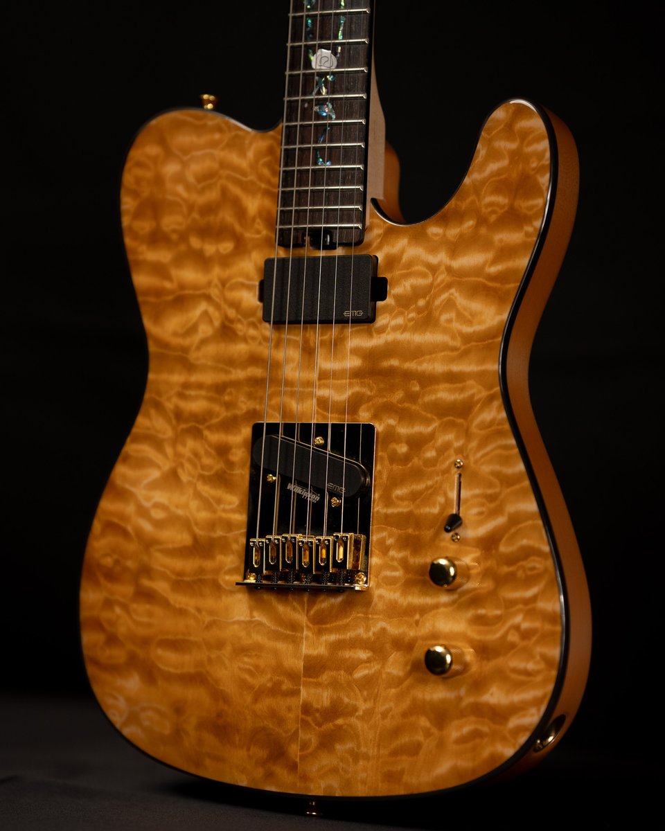 Aria Guitars tweet media