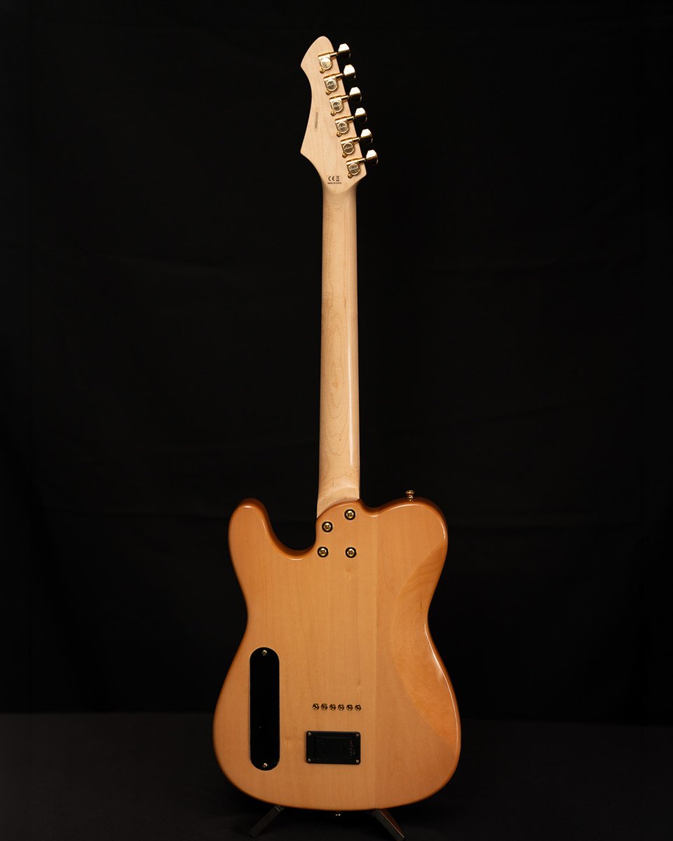 Aria Guitars tweet media