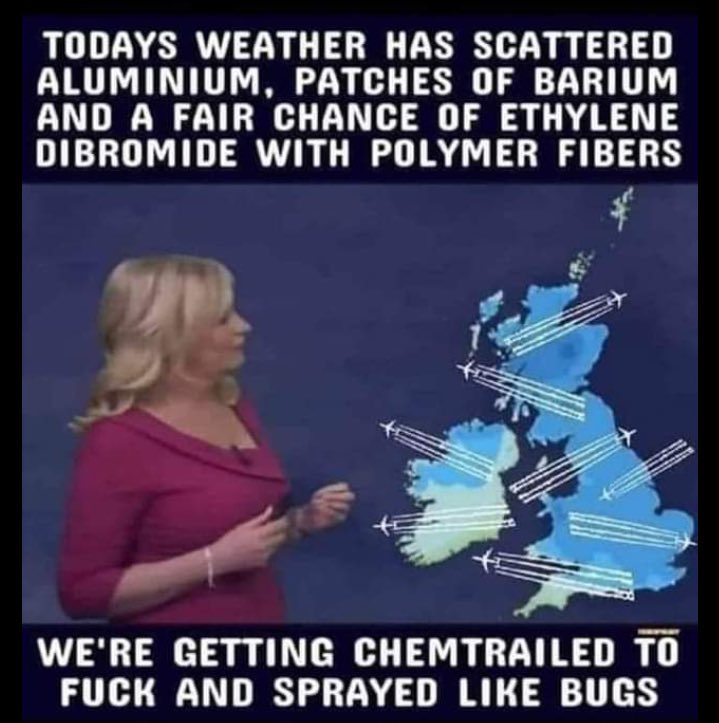 Divinity Singularity And Cheeseburgers tweet media