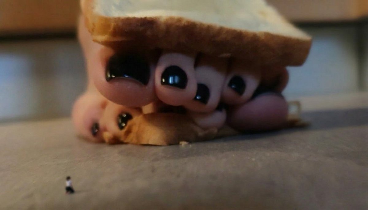 Francesca Belli tweet media