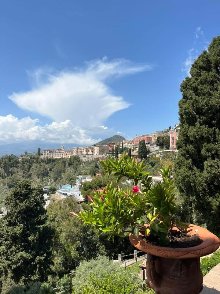 WhiteAlmondSicily 🌺 tweet media