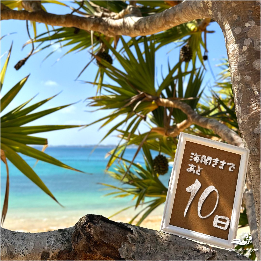 【公式】カヌチャリゾート 沖縄 tweet media