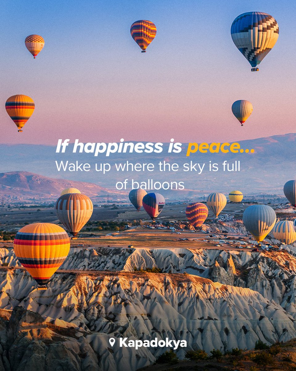 Pegasus Airlines tweet media