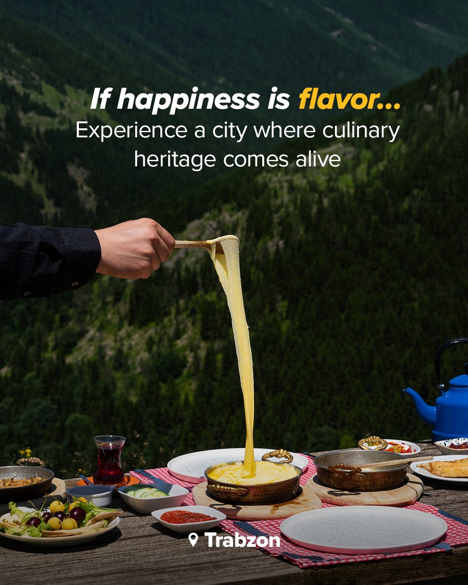 Pegasus Airlines tweet media