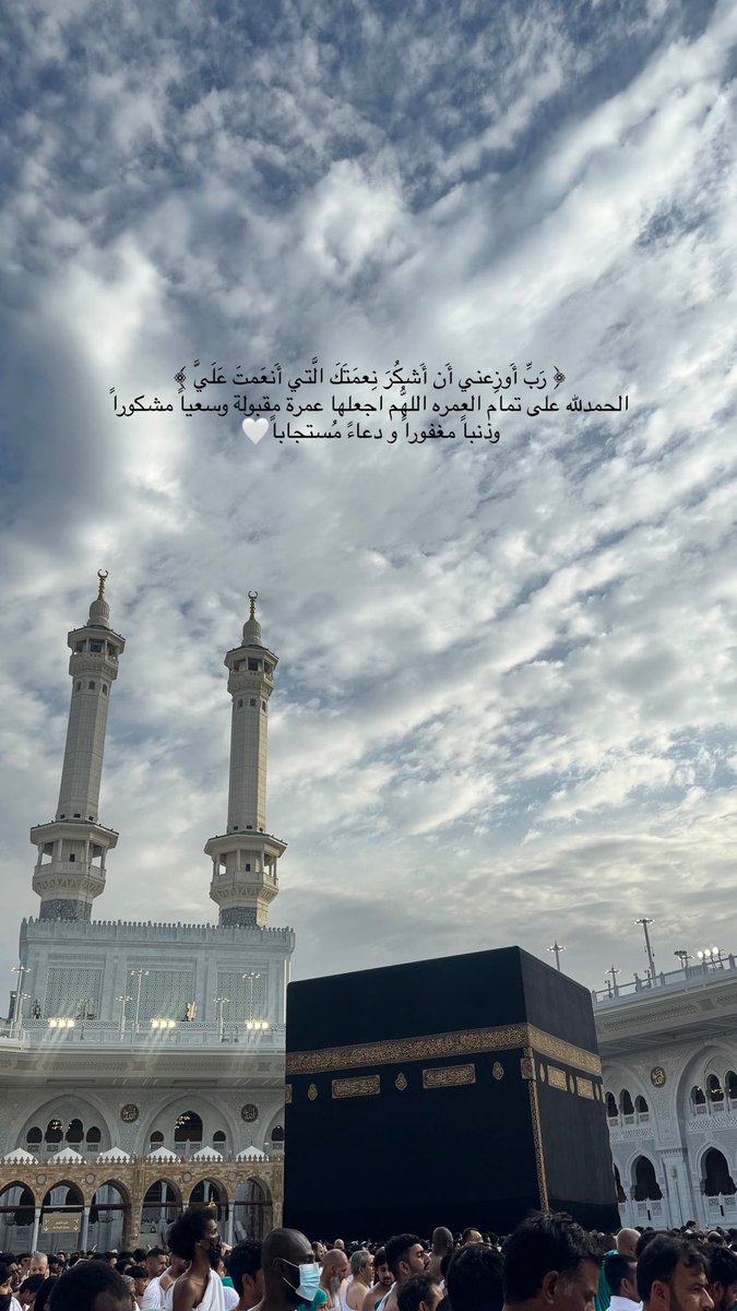 مـيَار بندر🐬 tweet media