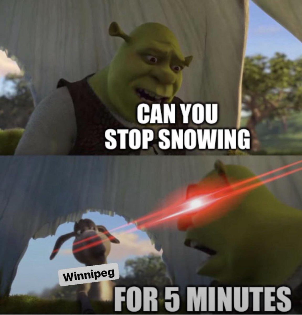 Sonicorp 🆒 tweet media