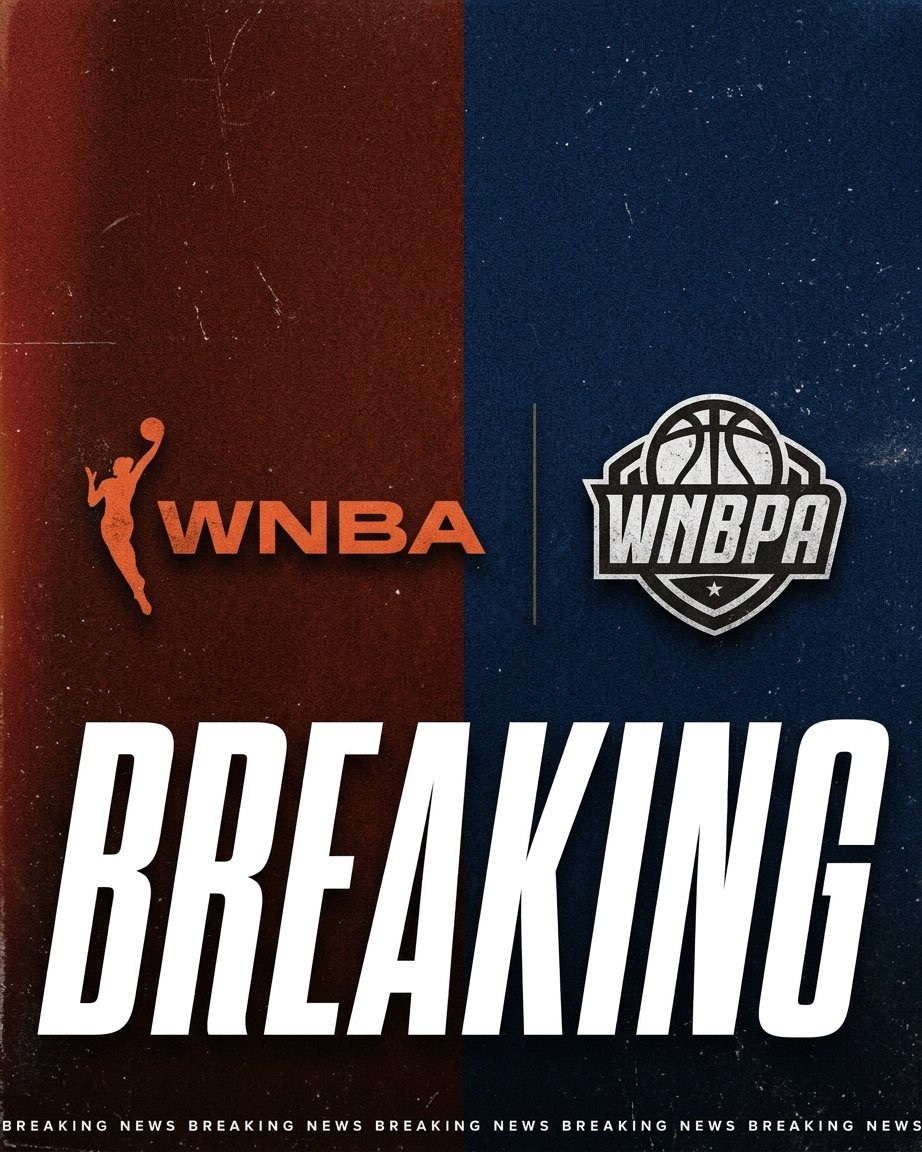 Fever Updates tweet media