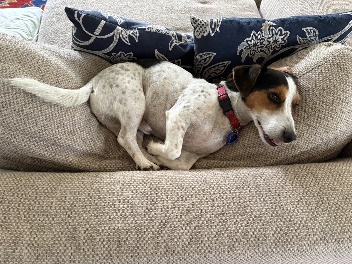 Gus in Time tweet media