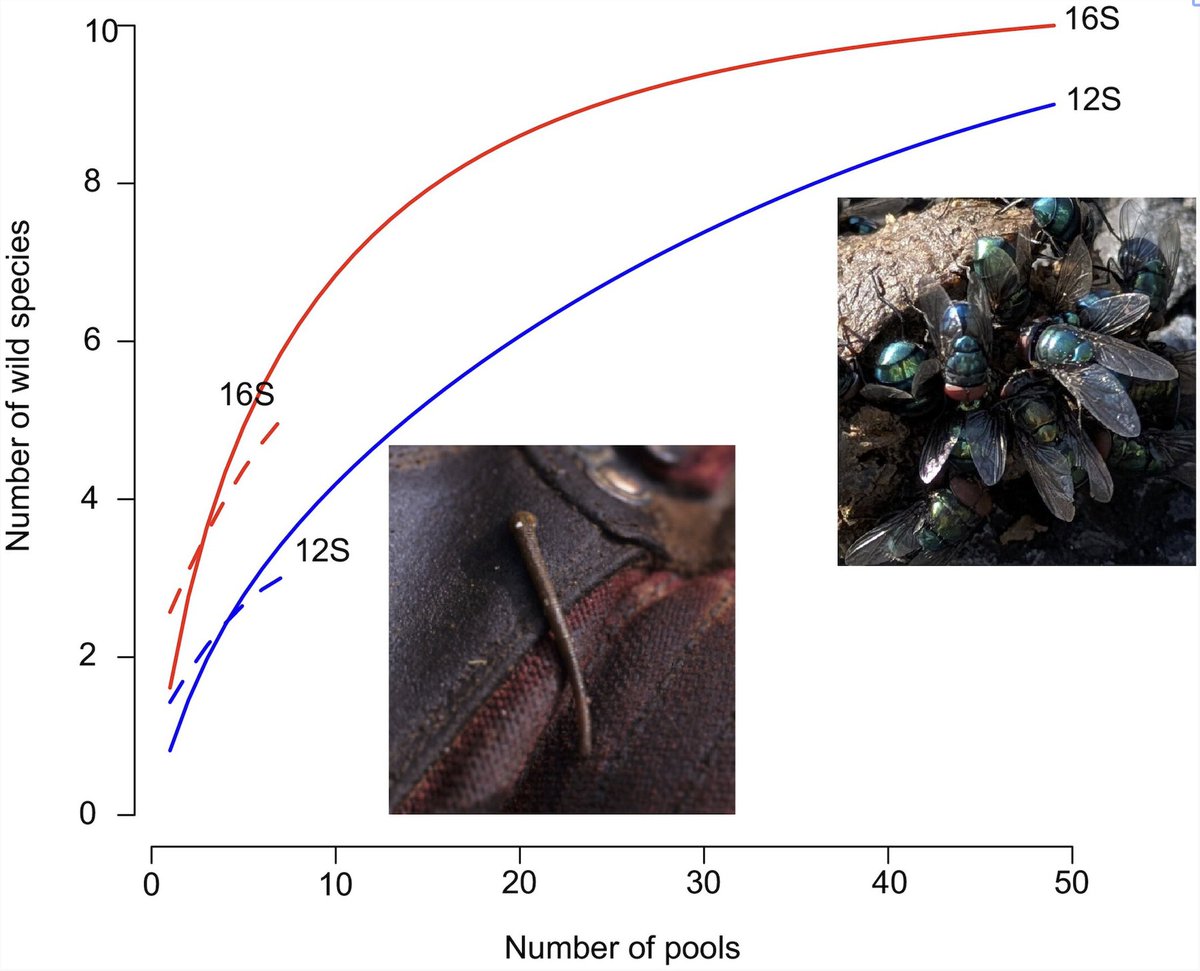 Ecological Research tweet media