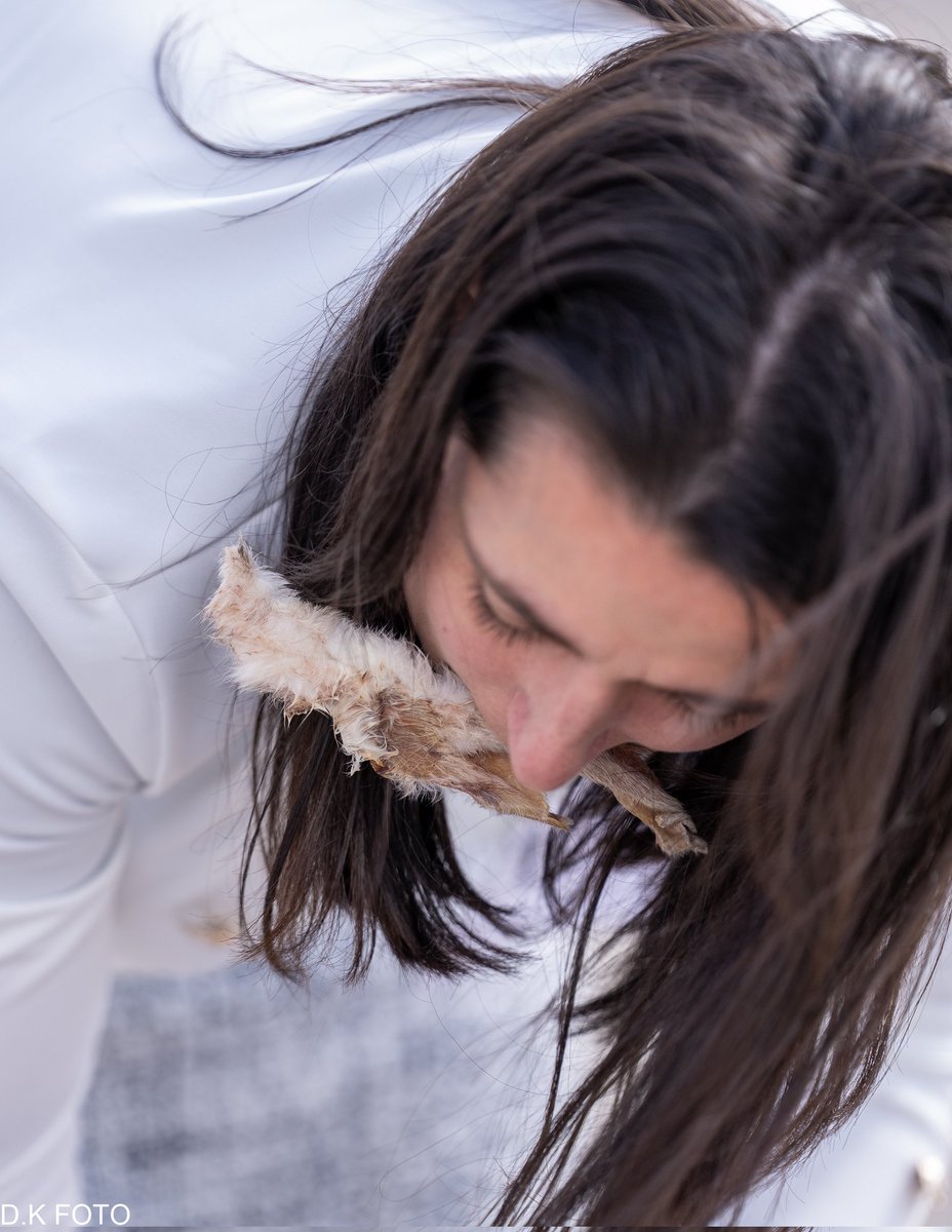 mops (Saša) 🦖🐾🐕 tweet media