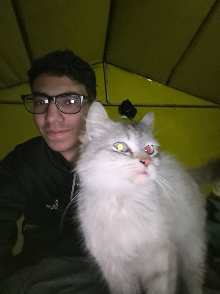 Alaa Almassri🍉🇵🇸 tweet media