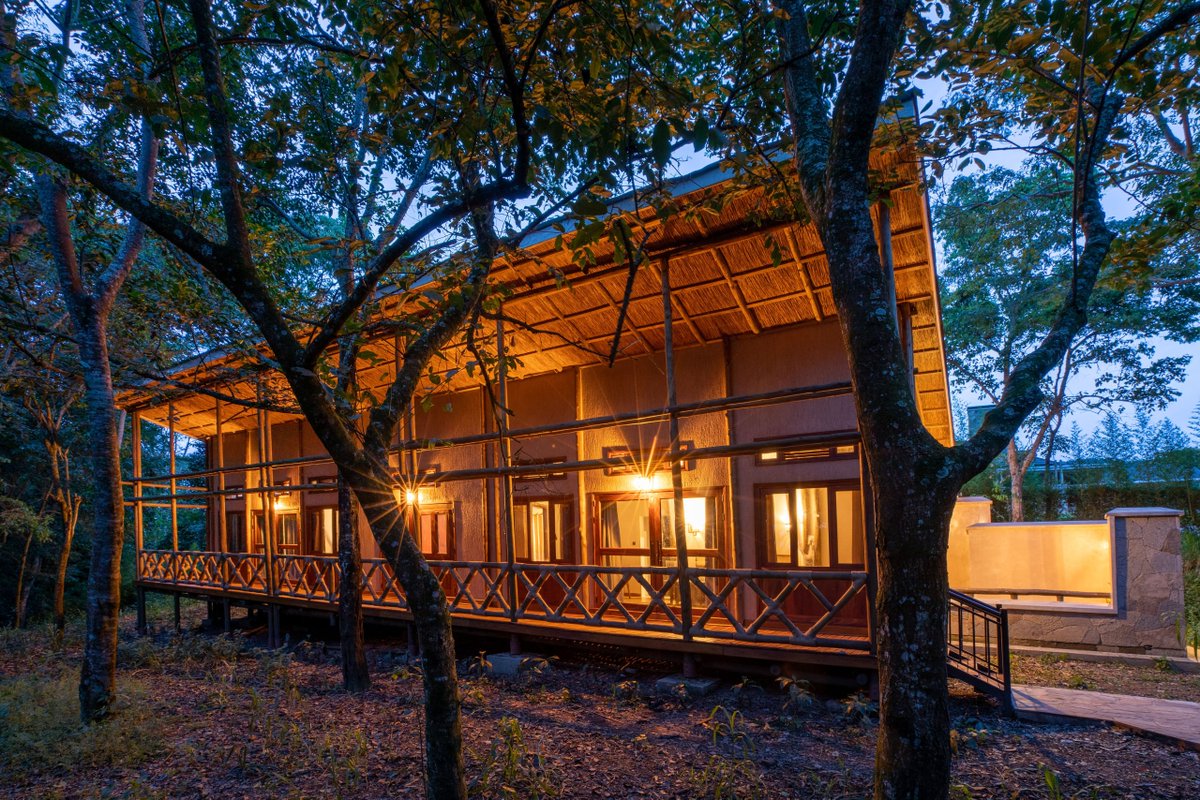 apsafari's tweet photo. Kalinzu Eco Lodge is quickly emerging as one of the most unique accommodation choices for tourists seeking both comfort and adventure in Uganda.
#KalinzuEcoLodge #KalinzuForest #ExploreUganda #VisitUganda #UgandaSafari #ChimpanzeeTracking #UgandaTour https://t.co/ti4DTJN2Uc