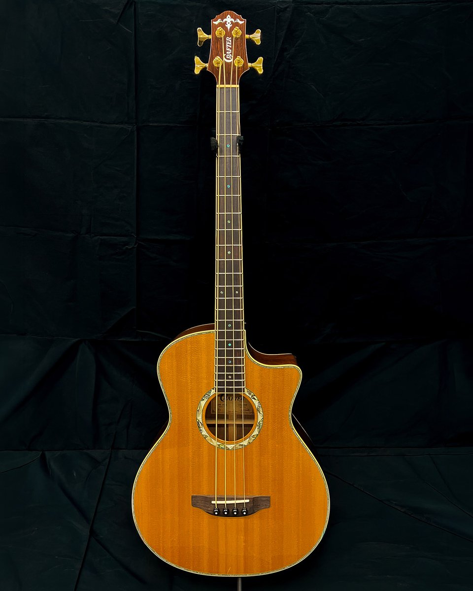 Aria Guitars tweet media